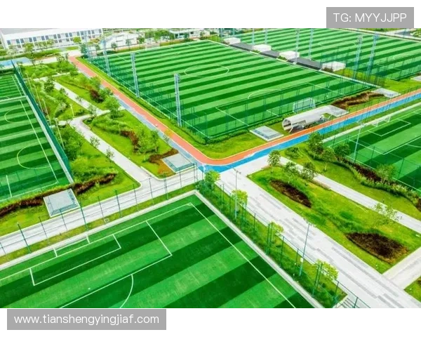 凯发体育手机：全面支持多种体育赛事的专业平台