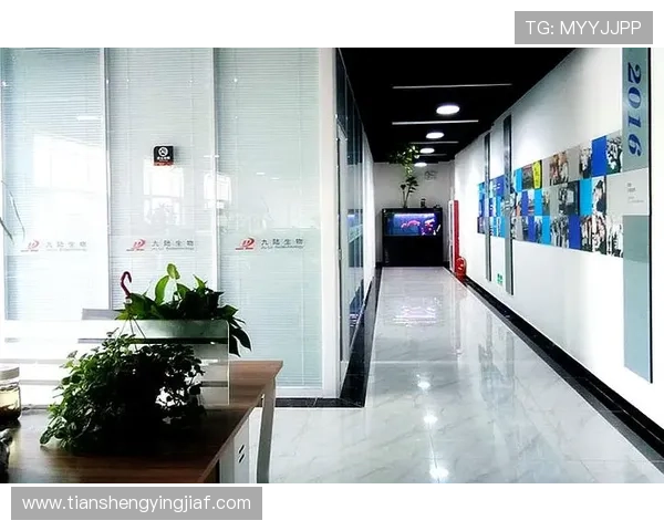 K8凯发旗舰厅官网入口：便捷快速进入平台的官方入口地址及安全保障措施